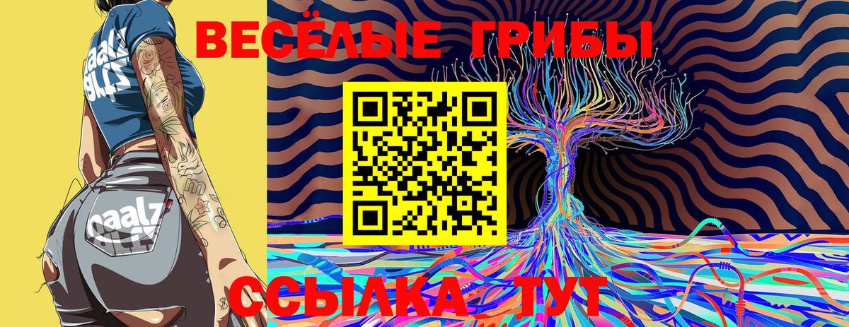 где найти наркотики  Галлюциногенные грибы Cubensis  Вход с VPN  Черняховск 
